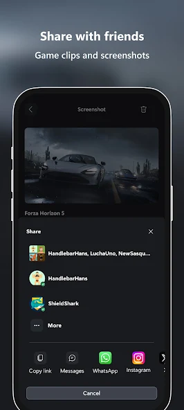 Screen